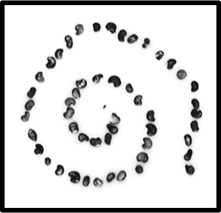 Pathology Innovations LLC